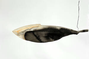 photo Sorti de La Nuit | Patricia Erbelding